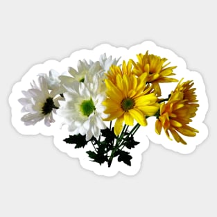 Daisies - Bouquet of Yellow and White Daisies Sticker